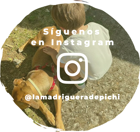 Contacto Instagram