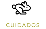 cuidados